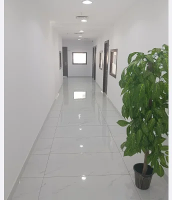 Gallery 1